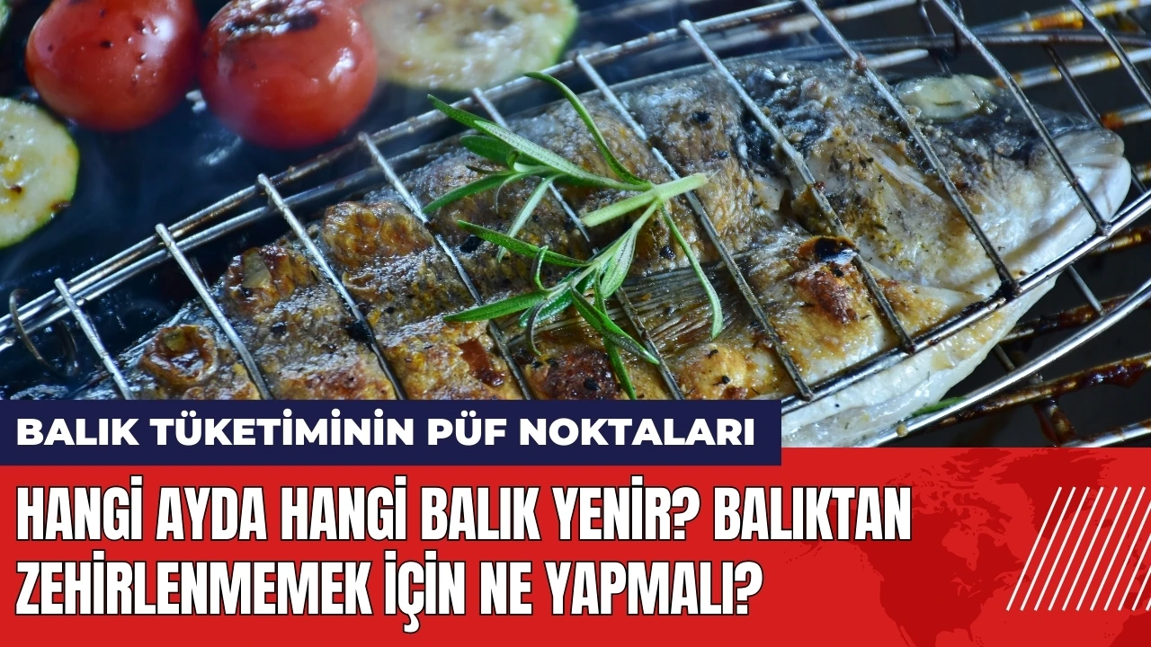 Hangi ayda hangi balık yenir? Balıktan zehirlenmemek için ne yapmalı?