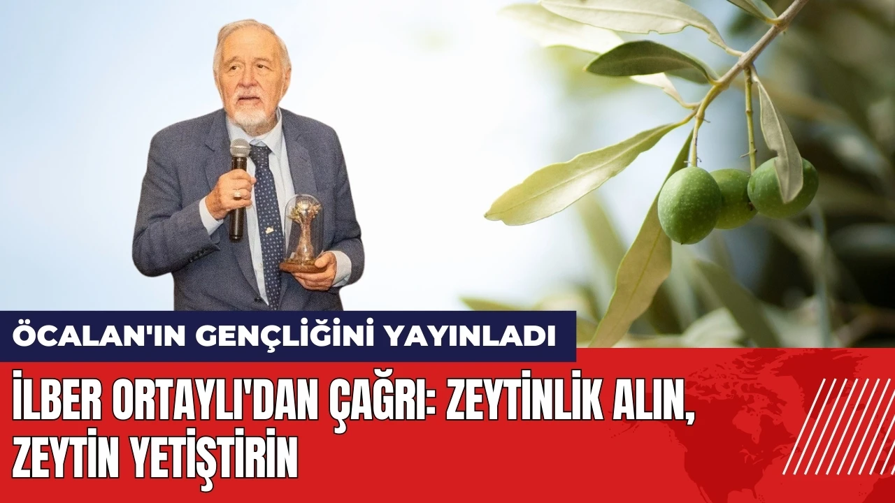 İlber Ortaylı'dan çağrı: Zeytinlik alın zeytin yetiştirin