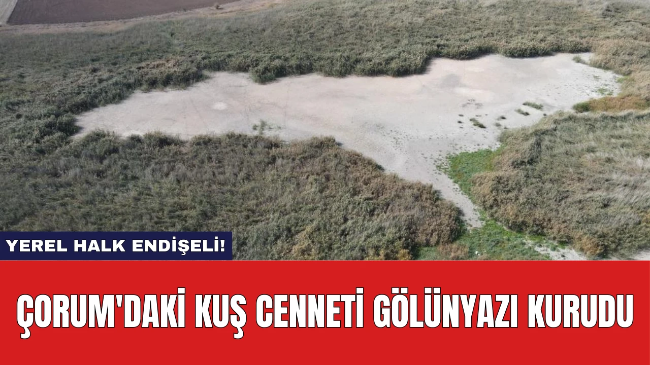 Çorum'daki Kuş Cenneti Gölünyazı Kurudu: Yerel Halk Endişeli!