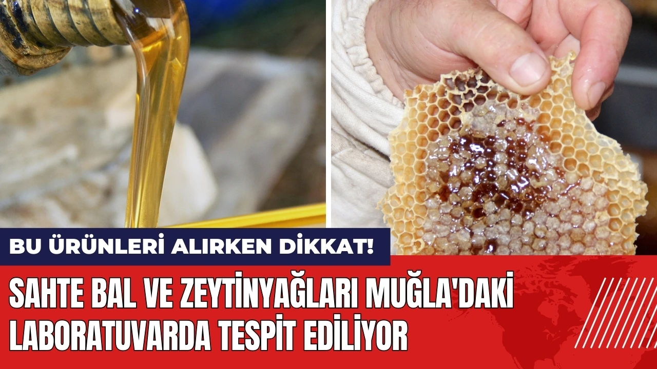 Sahte bal ve zeytinyağları Muğla'daki laboratuvarda tespit ediliyor