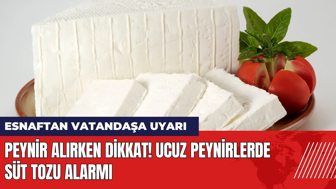 Peynir alırken dikkat! Ucuz peynirlerde süt tozu alarmı