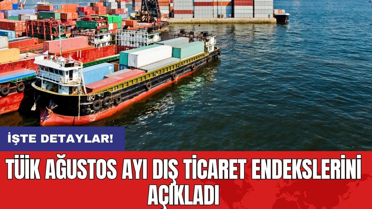 TÜİK Ağustos ayı dış ticaret endekslerini açıkladı