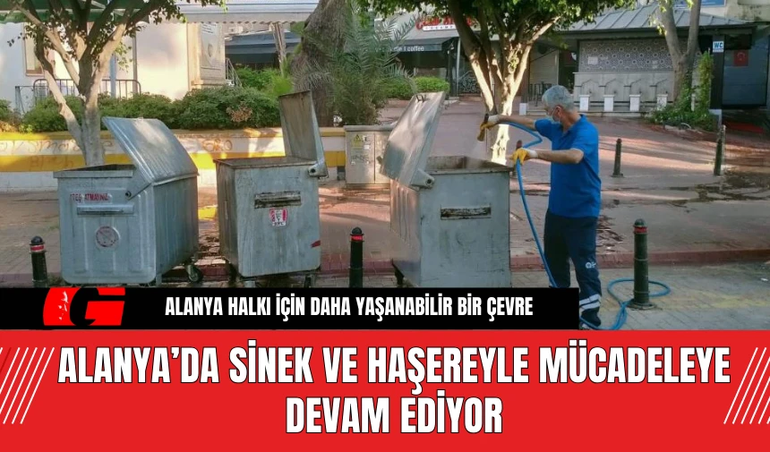 Alanya’da Sinek ve Haşereyle Mücadeleye Devam Ediyor