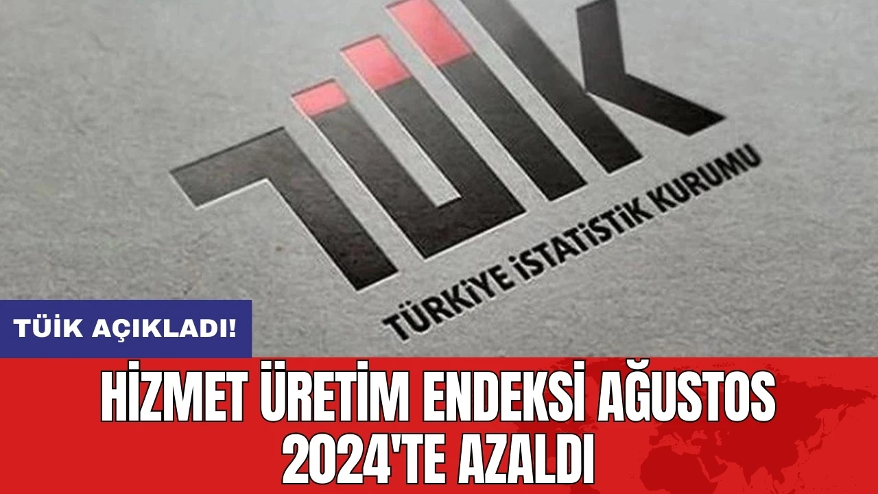 TÜİK Açıkladı! Hizmet Üretim Endeksi Ağustos 2024'te Azaldı