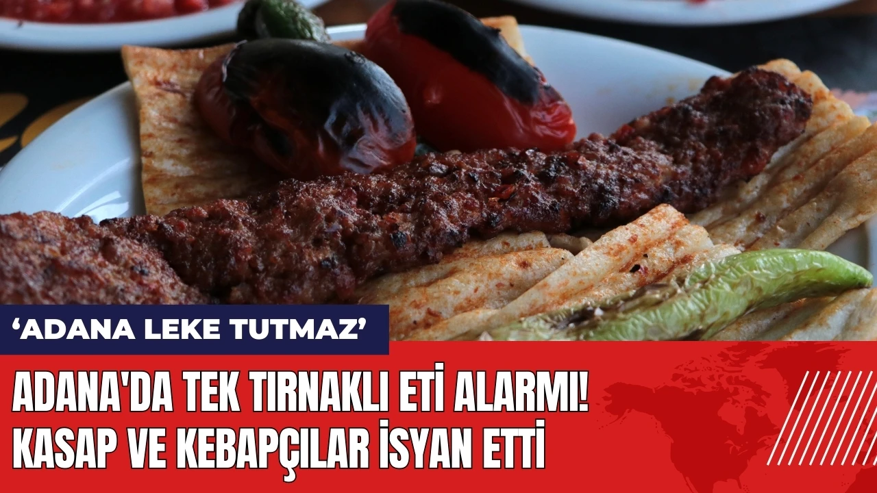 Adana'da tek tırnaklı eti alarmı! Kasap ve kebapçılar isyan etti