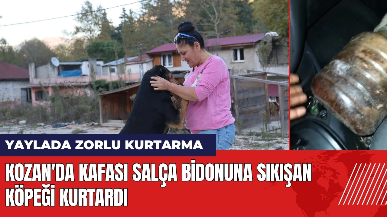 Kozan'da kafası salça bidonuna sıkışan köpeği kurtardı