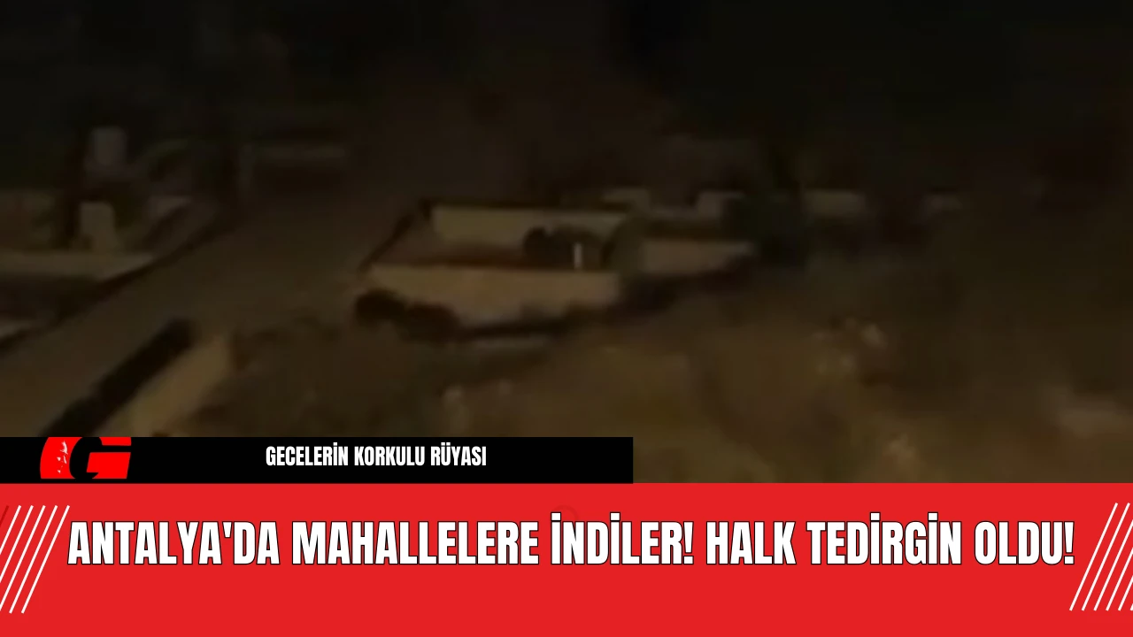 Antalya'da Mahallelere İndiler! Halk Tedirgin Oldu!