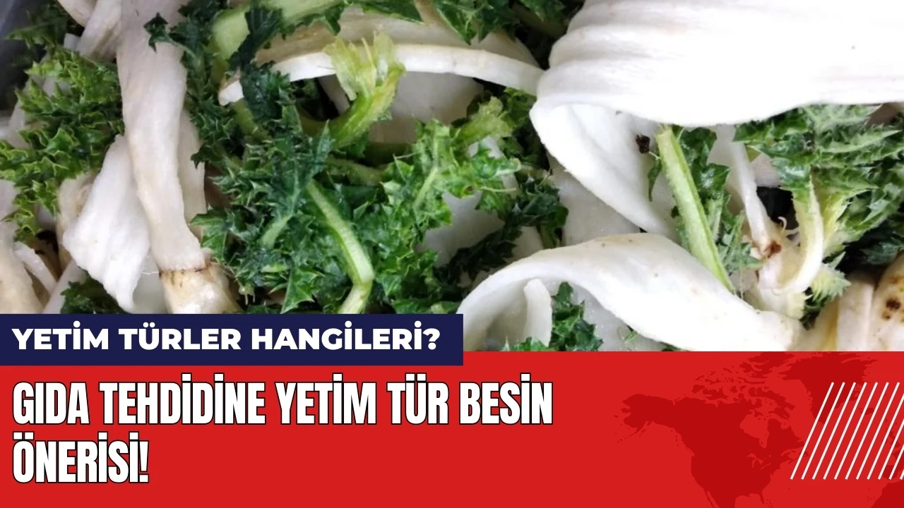 Gıda tehdidine yetim tür besin önerisi! Yetim besin türleri hangileri?