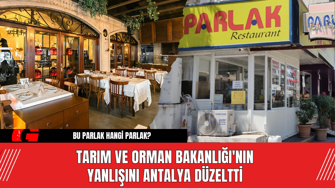 Tarım ve Orman Bakanlığı'nın Yanlışını Antalya Düzeltti! Hangi Parlak?