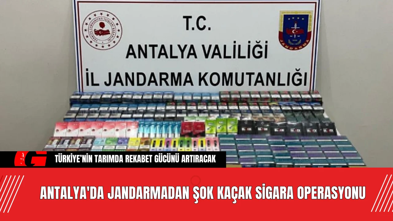 Antalya'da jandarmadan şok kaçak sigara operasyonu