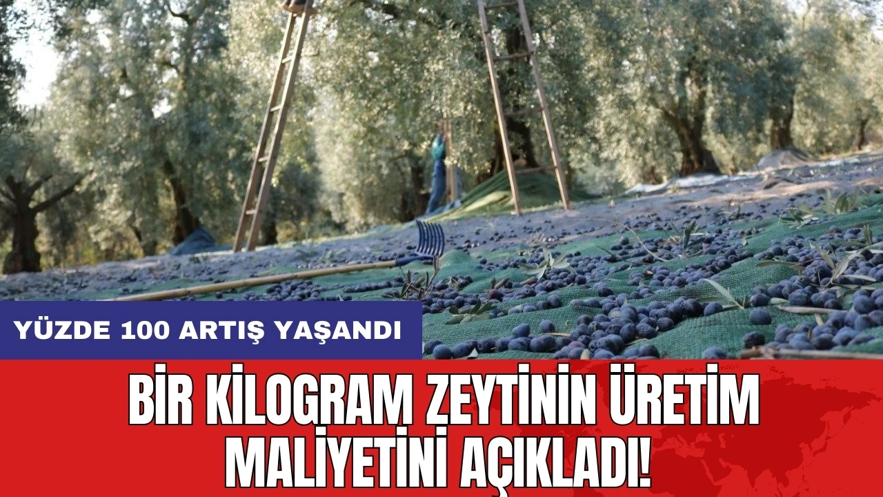 Bir kilogram zeytinin üretim maliyetini açıkladı!