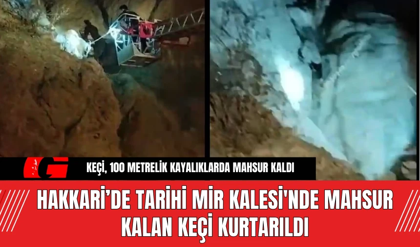 Hakkari’de Tarihi Mir Kalesi'nde Mahsur Kalan Keçi Kurtarıldı