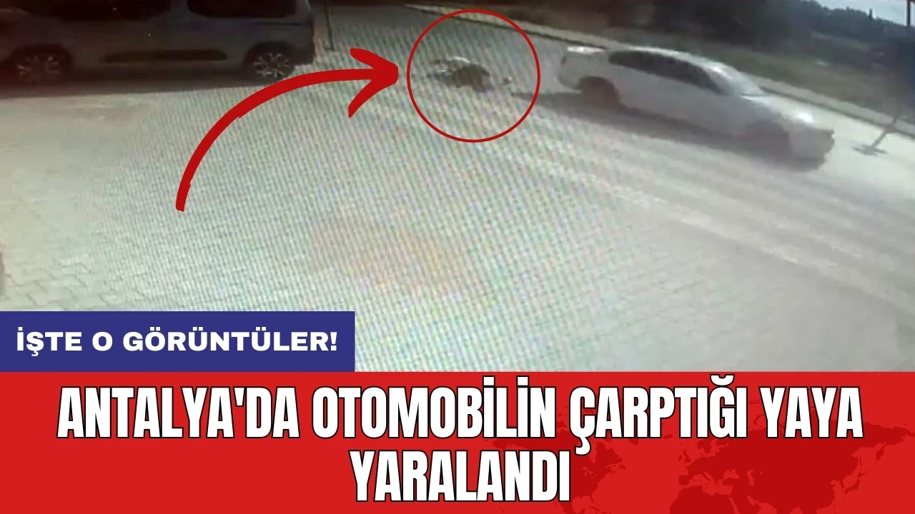 Antalya'da otomobilin çarptığı yaya yaralandı: İşte o görüntüler!