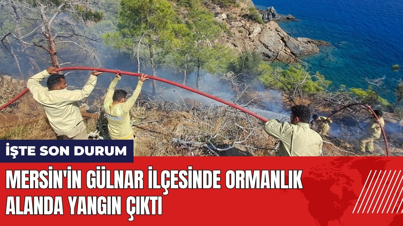 Mersin'in Gülnar ilçesinde ormanlık alanda yangın çıktı