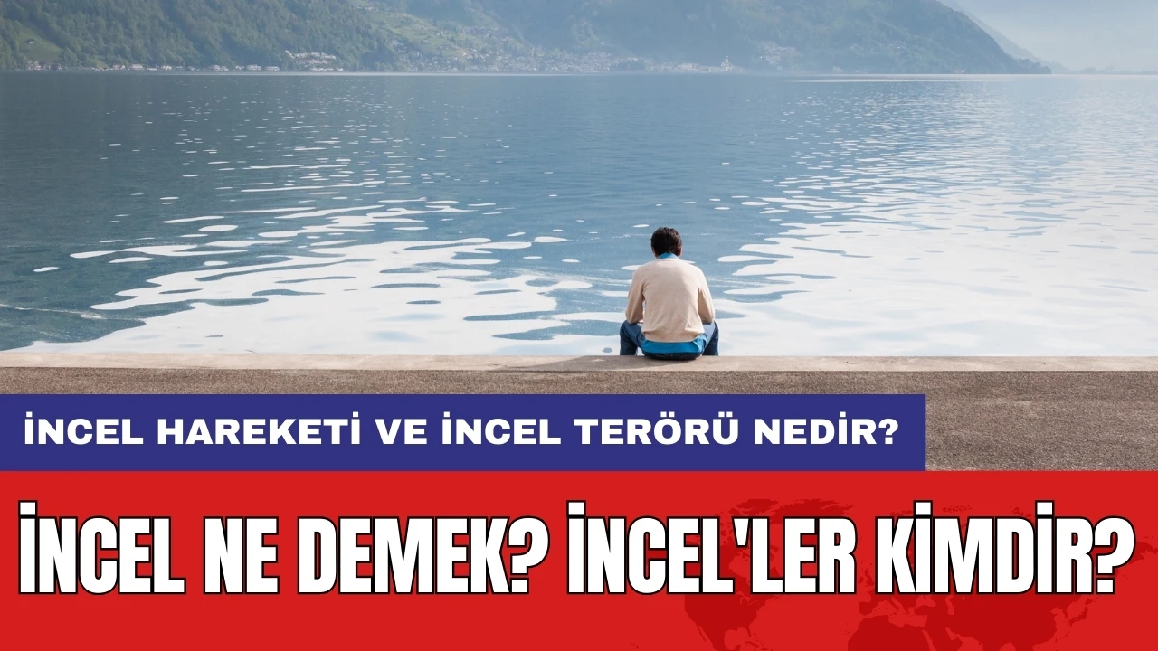 İncel ne demek?İncel'ler kimdir?İncel hareketi ve incel terörü nedir?