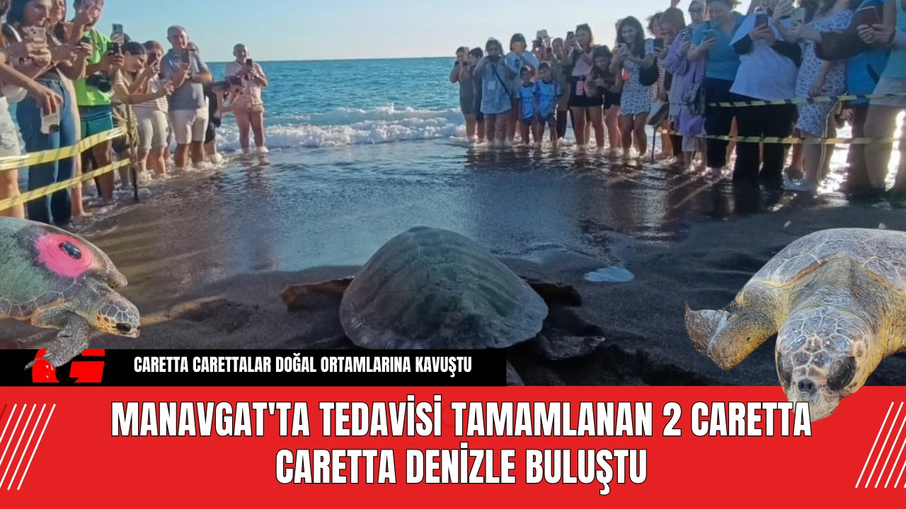 Manavgat'ta Tedavisi Tamamlanan 2 Caretta Caretta Denizle Buluştu