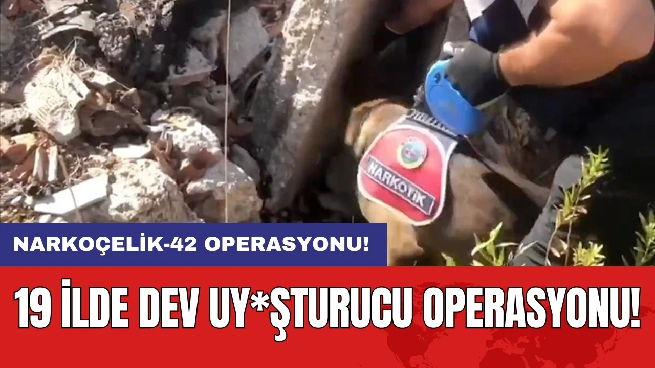 Narkoçelik-42 operasyonu: 19 ilde dev uy*şturucu operasyonu!