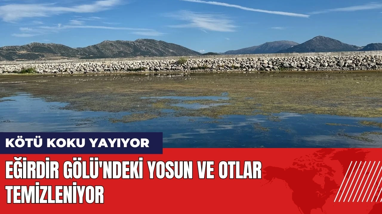 Eğirdir Gölü'ndeki yosunlar ve otlar temizleniyor!