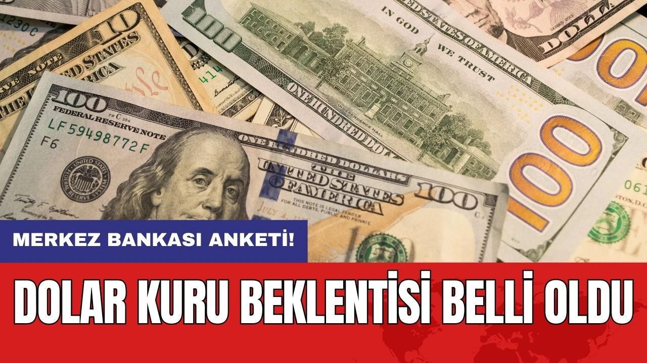 Merkez Bankası anketi: Dolar kuru beklentisi belli oldu