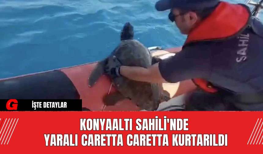 Konyaaltı Sahili'nde Yaralı Caretta Caretta Kurtarıldı