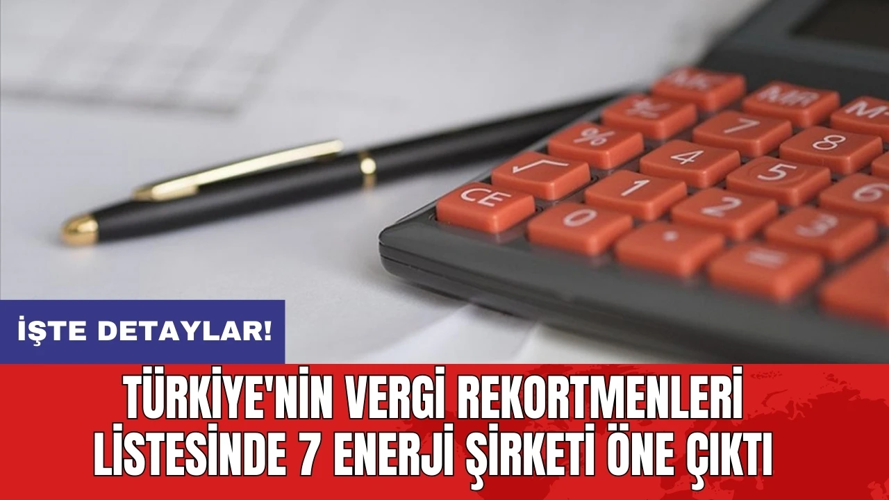 Türkiye'nin vergi rekortmenleri listesinde 7 enerji şirketi öne çıktı