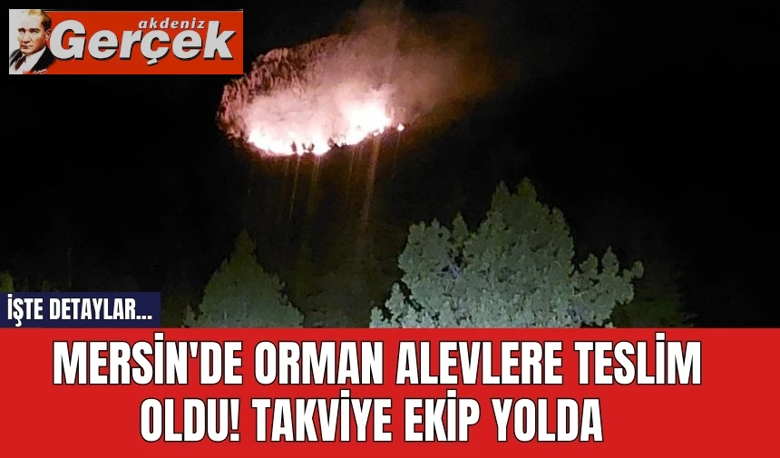 Mersin'de orman alevlere teslim oldu! Takviye ekip yolda