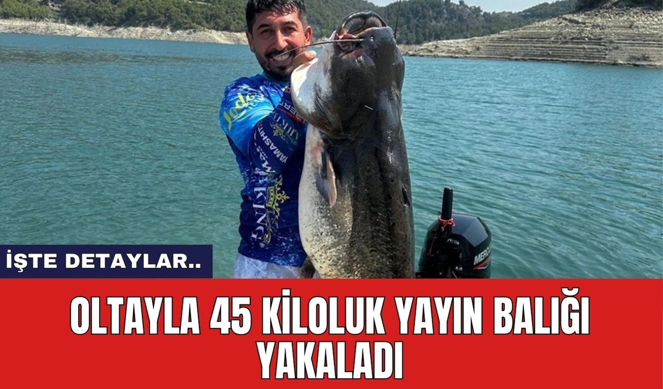 Oltayla 45 kiloluk yayın balığı yakaladı