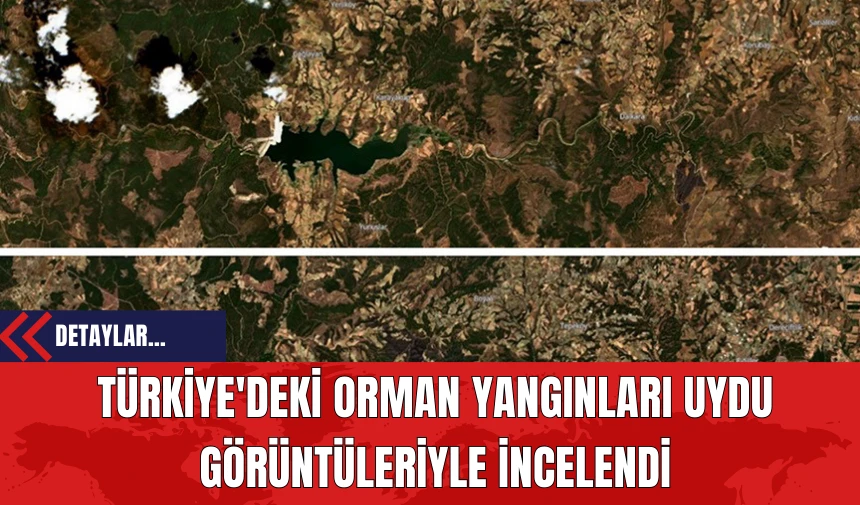 Türkiye'deki Orman Yangınları Uydu Görüntüleriyle İncelendi