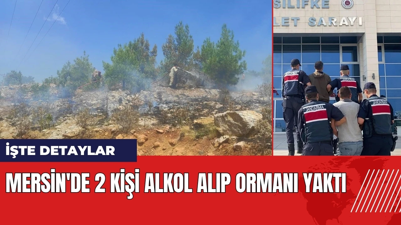 Mersin'de 2 kişi alkol alıp ormanı yaktı