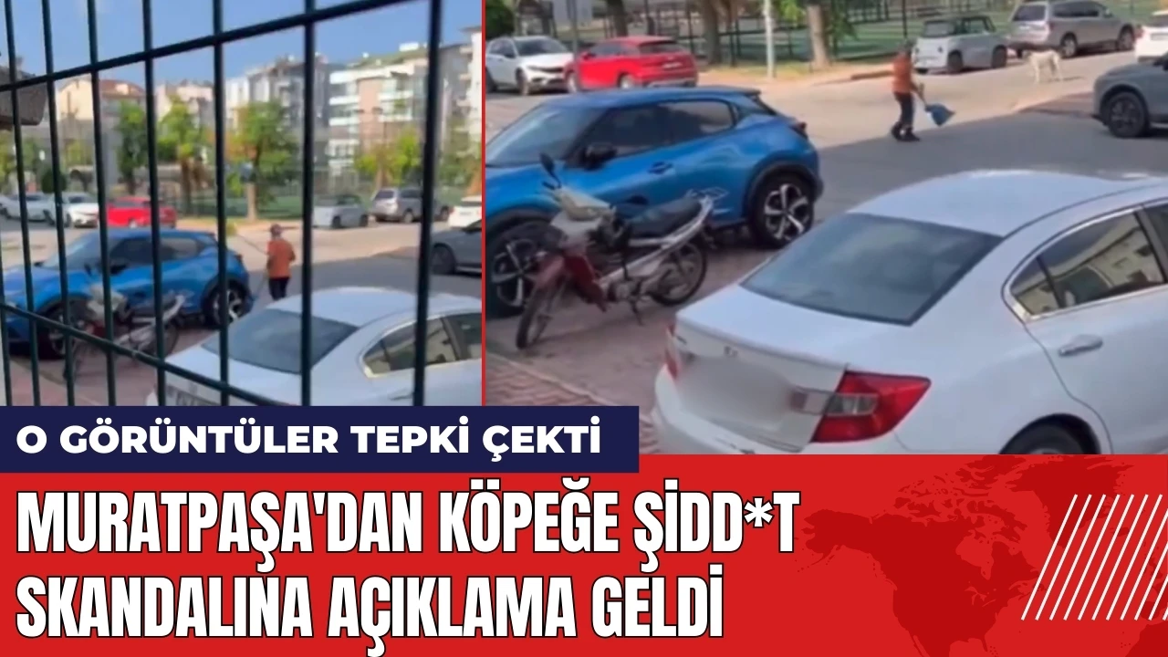 Muratpaşa'dan köpeğe şidd*t skandalına açıklama geldi