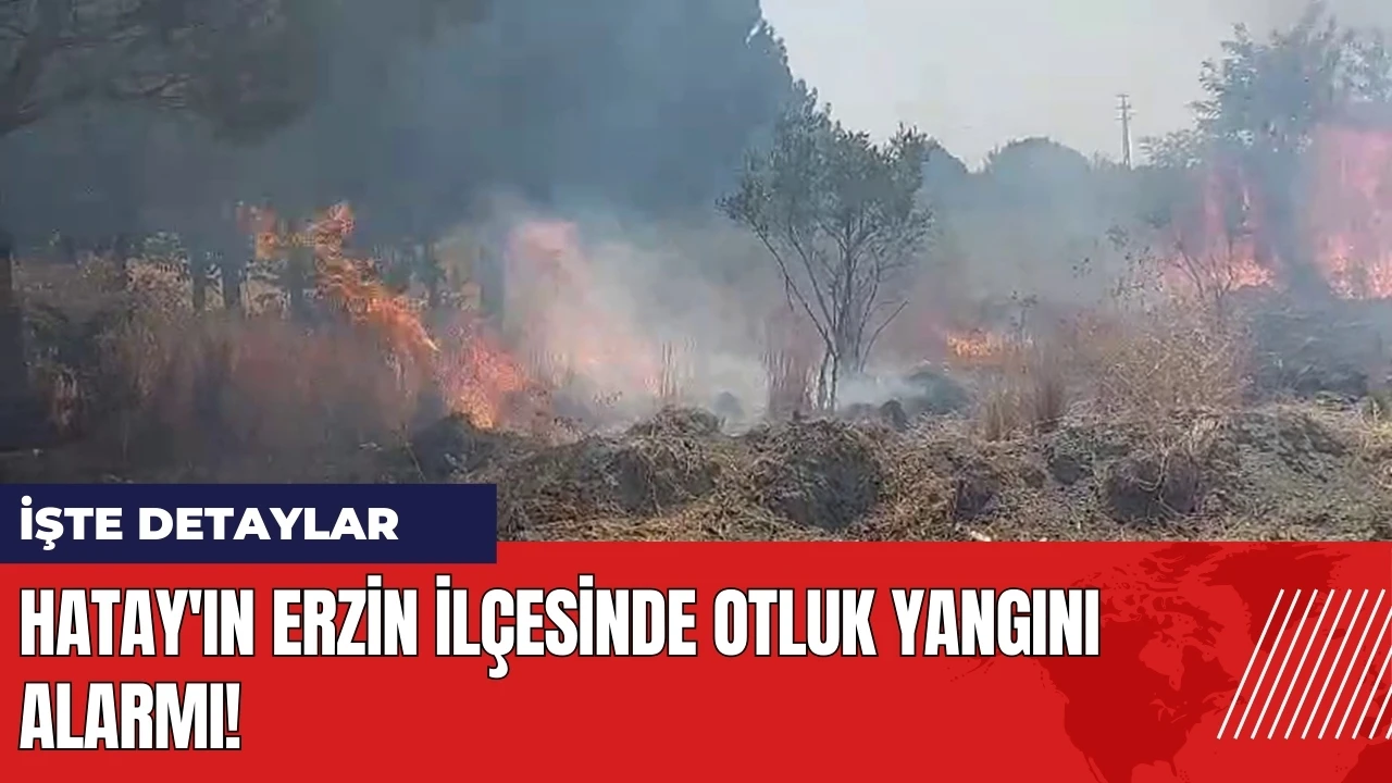 Hatay'ın Erzin İlçesinde otluk yangını alarmı!