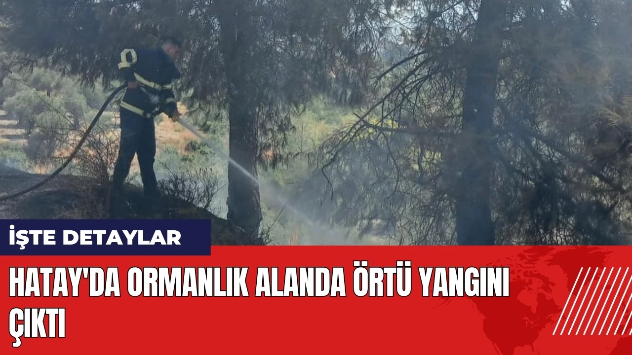 Hatay'da ormanlık alanda örtü yangını çıktı