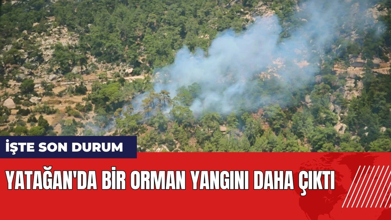 Yatağan'da bir orman yangını daha çıktı