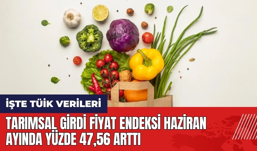 Tarımsal Girdi Fiyat Endeksi haziran ayında yüzde 47 arttı