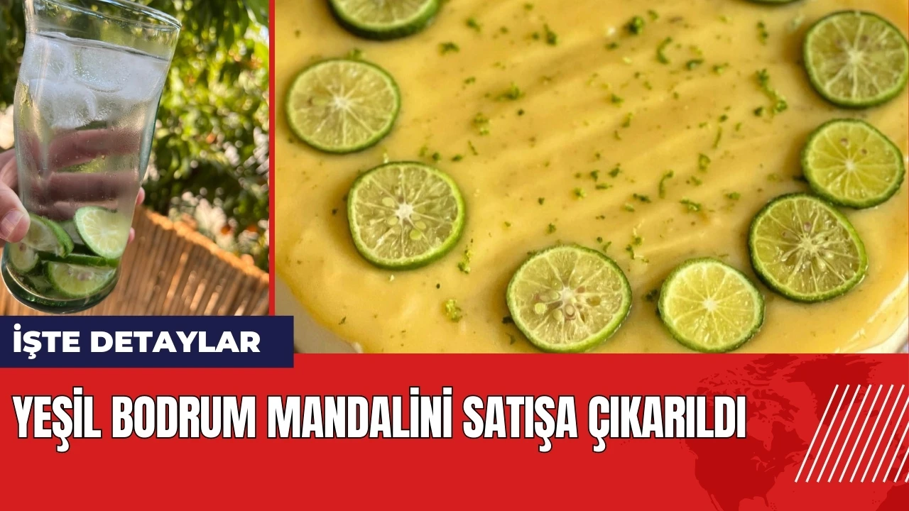 Yeşil Bodrum Mandalini satışa çıkarıldı