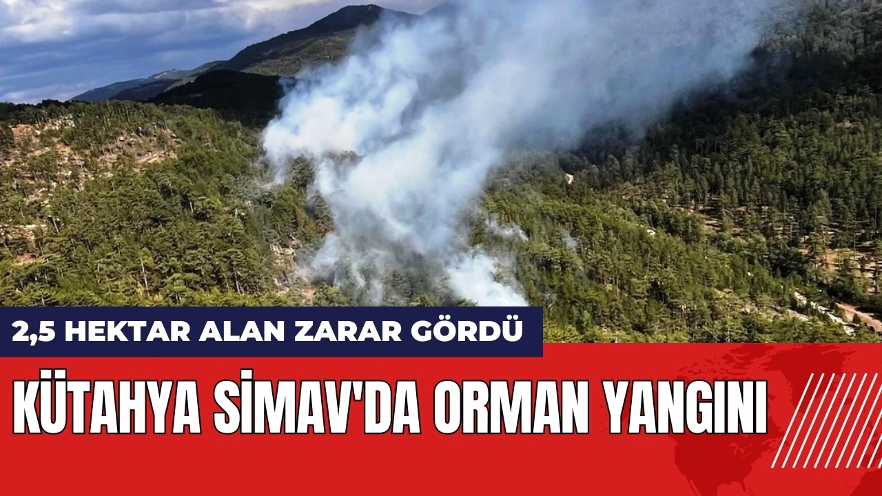 Kütahya Simav'da orman yangını