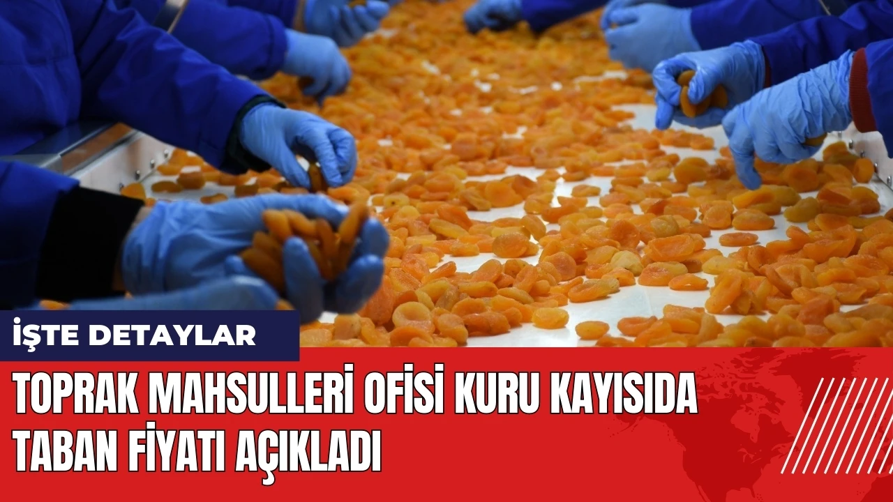 Kuru kayısıda taban fiyat açıklandı