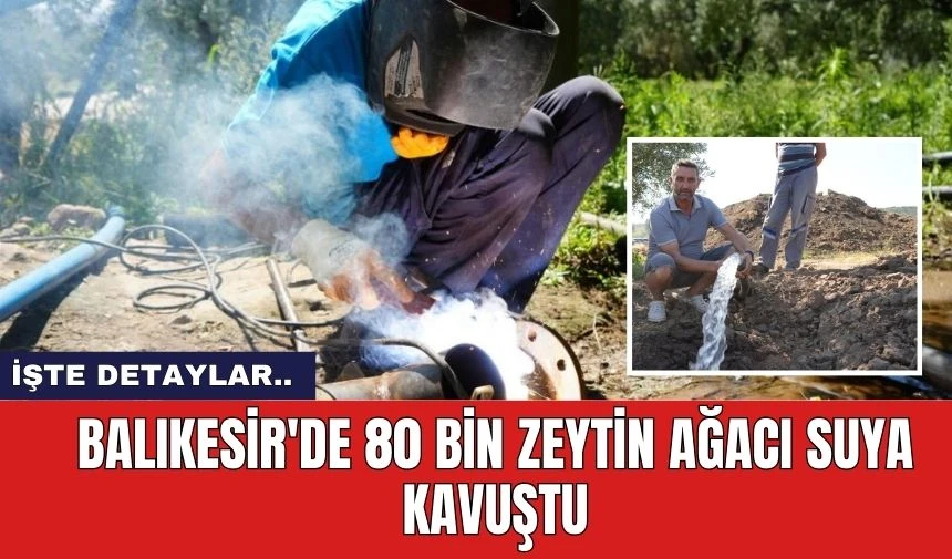 Balıkesir'de 80 bin zeytin ağacı suya kavuştu