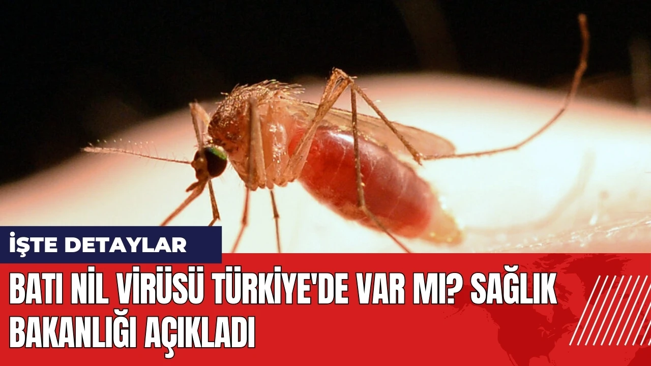 Batı Nil Virüsü Türkiye'de var mı? Sağlık Bakanlığı açıkladı