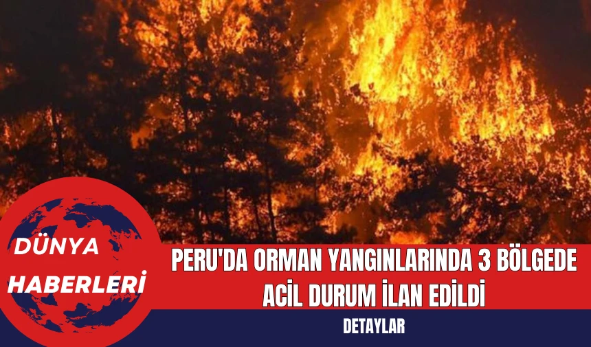 Peru'da Orman Yangınlarında 3 Bölgede Acil Durum İlan Edildi