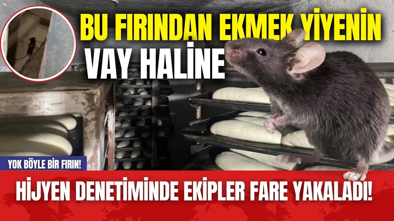 Yok böyle bir fırın! Hijyen denetiminde ekipler fare yakaladı! O anlar