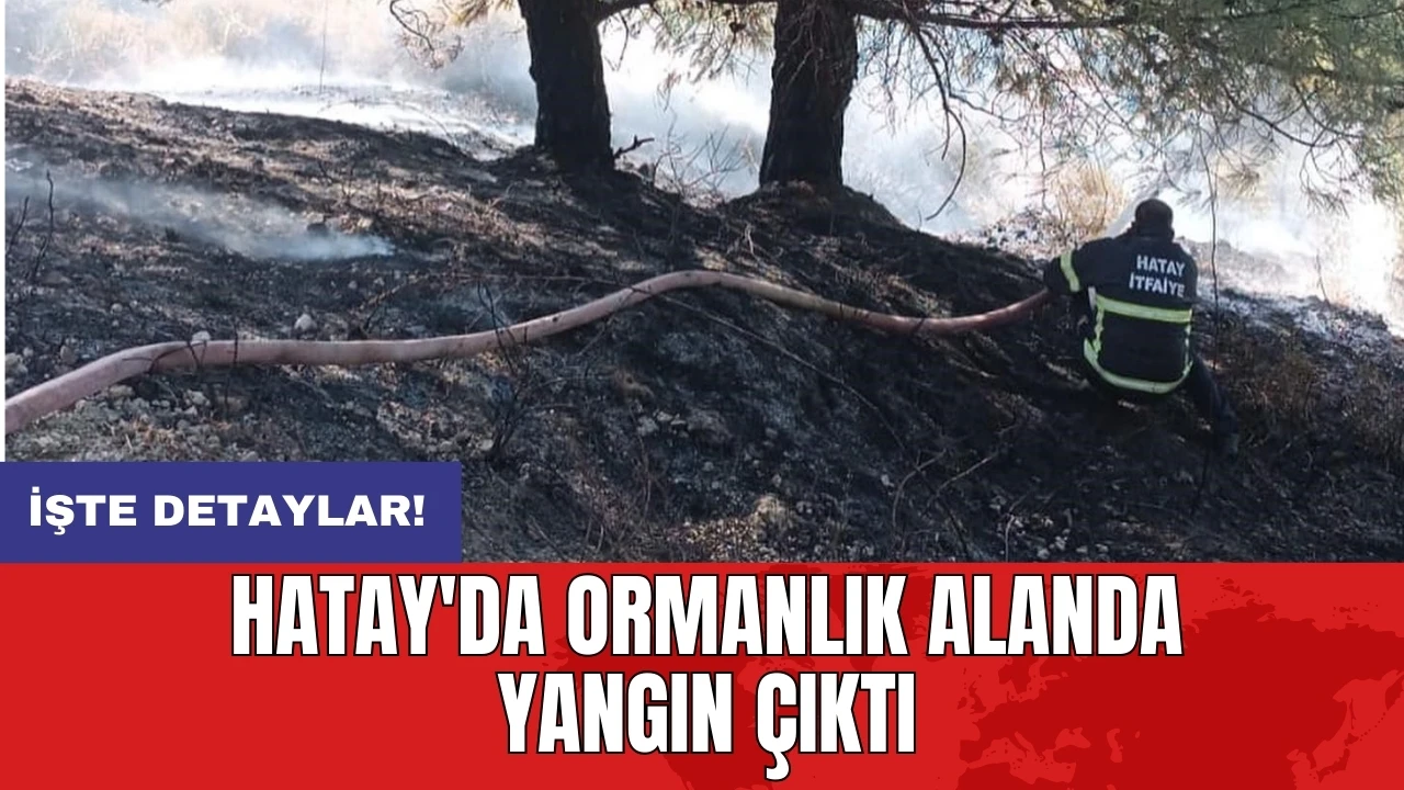 Hatay'da ormanlık alanda yangın çıktı