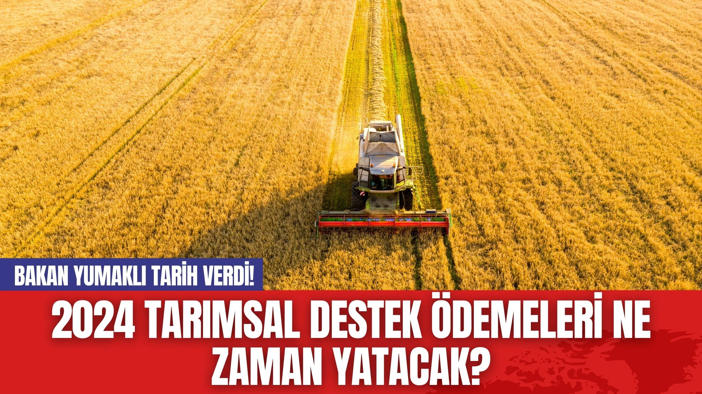 2024 Tarımsal Destek Ödemeleri Ne Zaman Yatacak? Bakan Yumaklı Tarih Verdi!