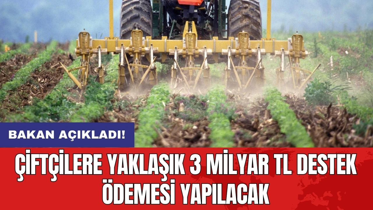 Çiftçilere yaklaşık 3 milyar TL destek ödemesi yapılacak