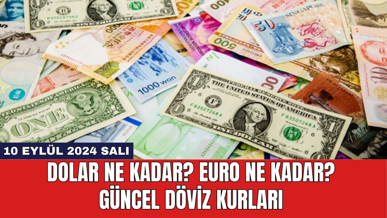 Dolar Ne Kadar? Euro Ne Kadar? Güncel Döviz Kurları 10 Eylül 2024 Salı