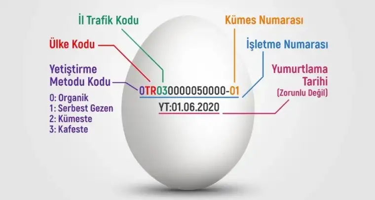 Yumurtaların Üzerindeki Numaralar Ne Anlama Geliyor?