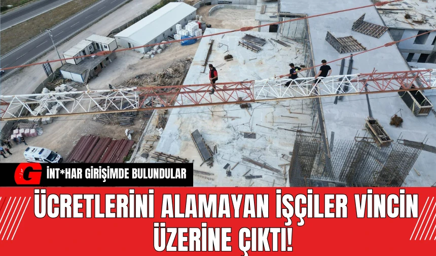 Ücretlerini Alamayan İşçiler Vincin Üzerine Çıktı! İnt*har Girişimde Bulundu