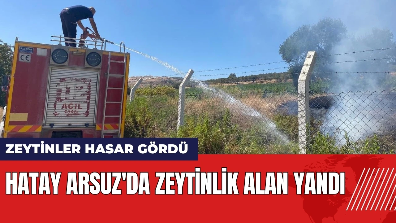 Hatay'ın Arsuz ilçesinde zeytinlik alanda yangın çıktı