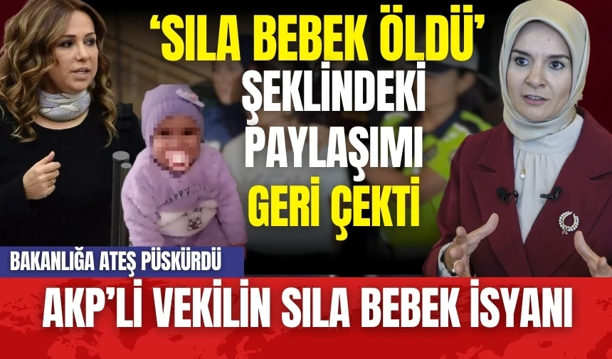 Bakanlığın Sıla Bebek Duyarsızlığına AKP'li eski vekilden tepki