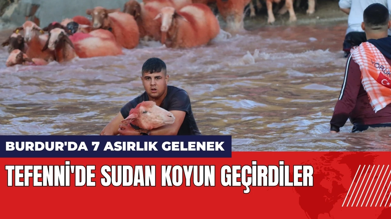 Burdur'da 7 asırlık gelenek! Tefenni'de sudan koyun geçirdiler